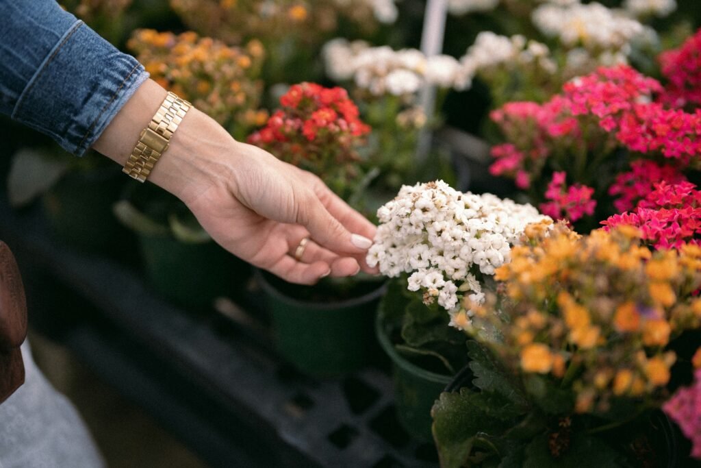 Dicas de jardinagem para iniciantes.