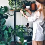 Observação das plantas é muito importante