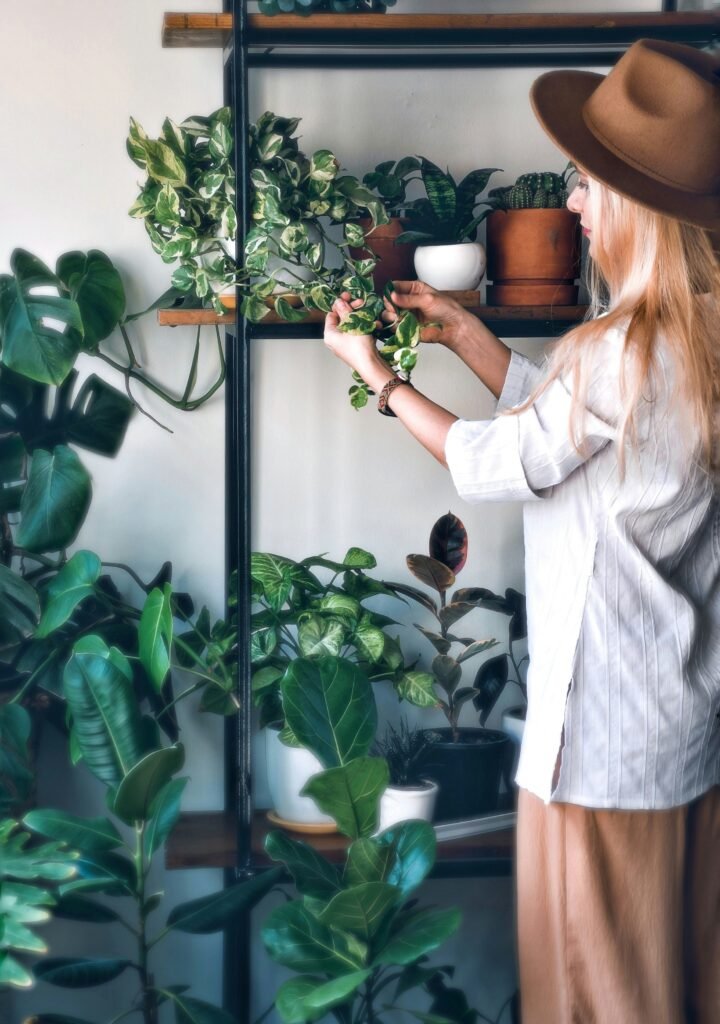 Observação das plantas é muito importante