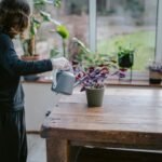 Pessoa jovem regando uma planta de folhas roxas sobre uma mesa de madeira, em um ambiente interno iluminado por luz natural, com outras plantas ao fundo perto da janela.