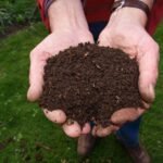 adubo caseiro para plantas em vaso