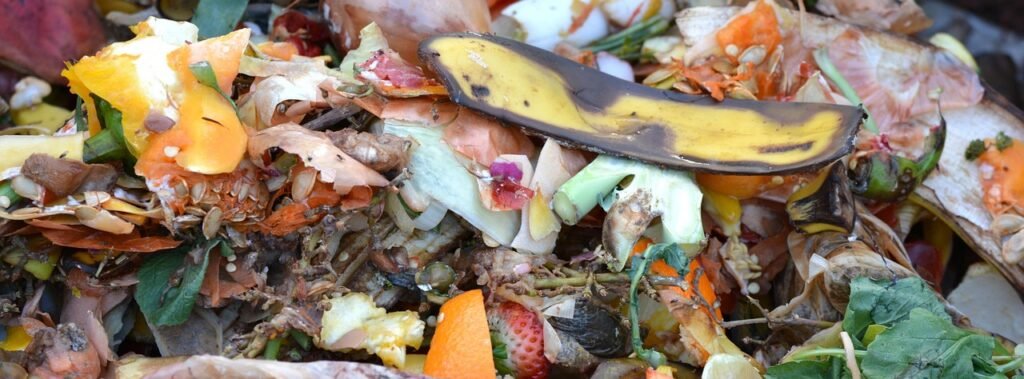 Restos orgânicos de frutas e legumes, como casca de banana e pedaços de laranja, prontos para compostagem e produção de adubo natural.