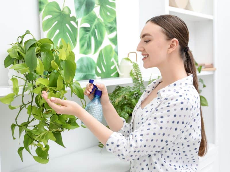 Pessoa cuidando de plantas de interior com borrifador, representando que criar uma rotina leve muda tudo no cuidado diário