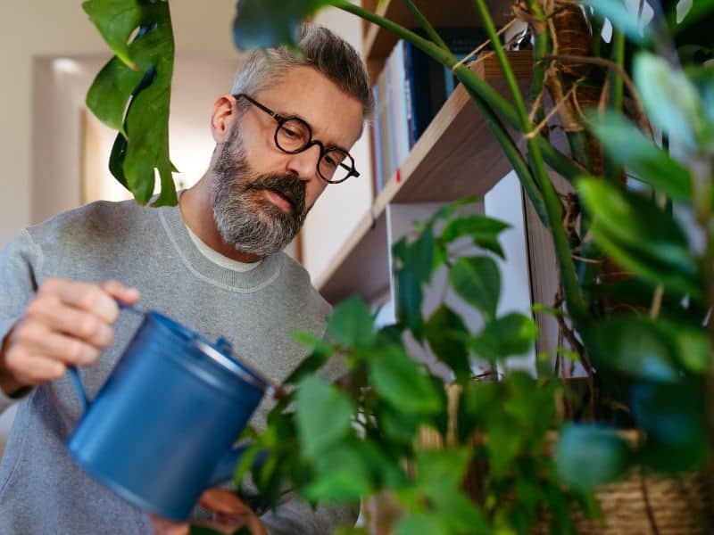 Pessoa regando plantas de interior em ambiente doméstico, mostrando que regar menos costuma salvar mais plantas