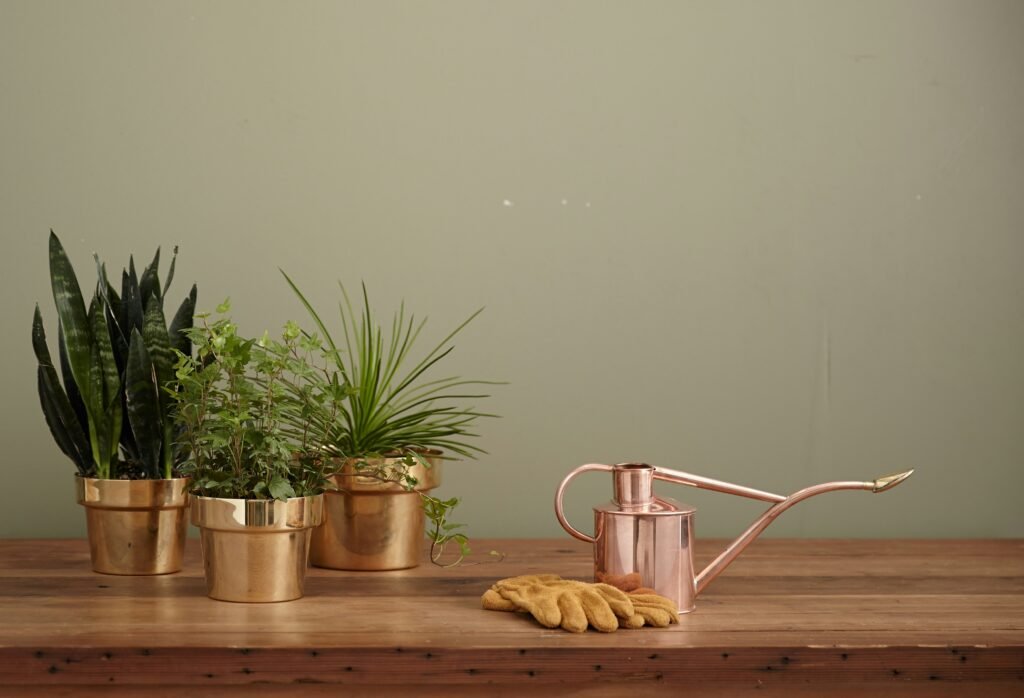 regar plantas