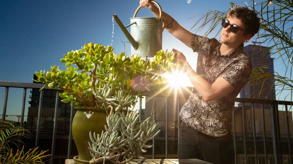 Homem regando plantas suculentas ao ar livre com regador metálico, mostrando a importância de regar plantas do jeito certo.