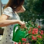 regar plantas no sol