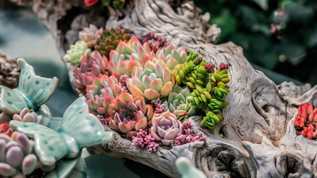 Arranjo de suculentas coloridas em tronco seco, formando um jardim vibrante e decorativo.