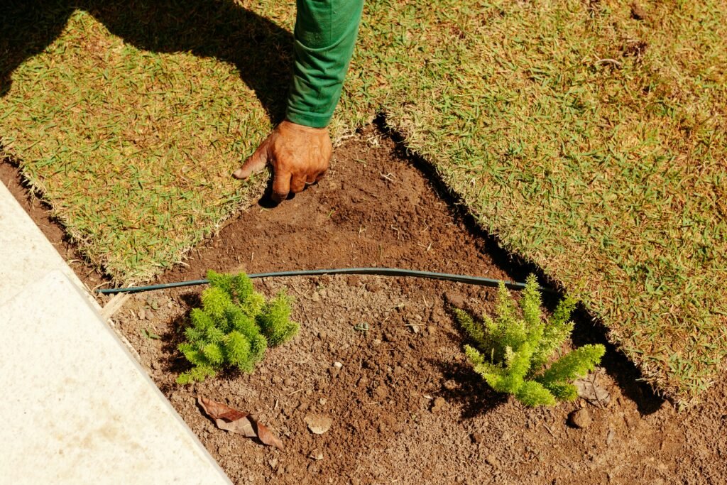 Como plantar grama do jeito certo