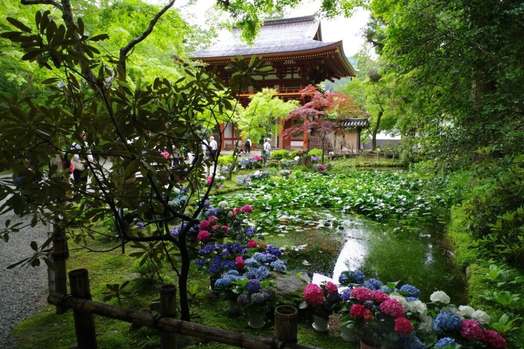 Jardim Zen
