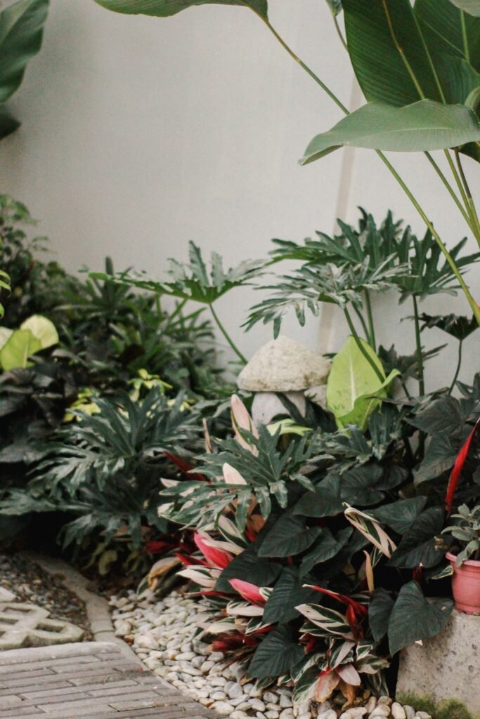 Jardim de inverno com plantas no chão, folhagens verdes e vermelhas, pedras brancas decorativas e pequeno enfeite de pedra, ao lado de piso de madeira.