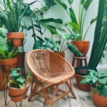 Jardim de inverno para sala com diversas plantas em vasos de barro, cadeira de vime no centro, piso de madeira rústica e parede branca ao fundo.