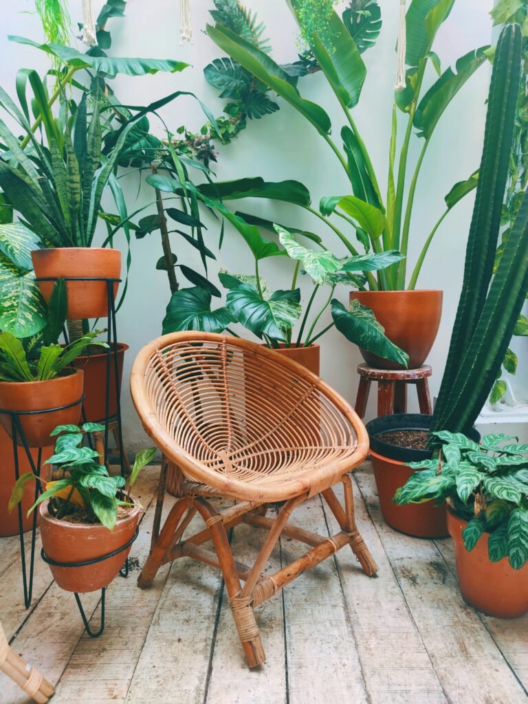 Jardim de inverno para sala com diversas plantas em vasos de barro, cadeira de vime no centro, piso de madeira rústica e parede branca ao fundo.
