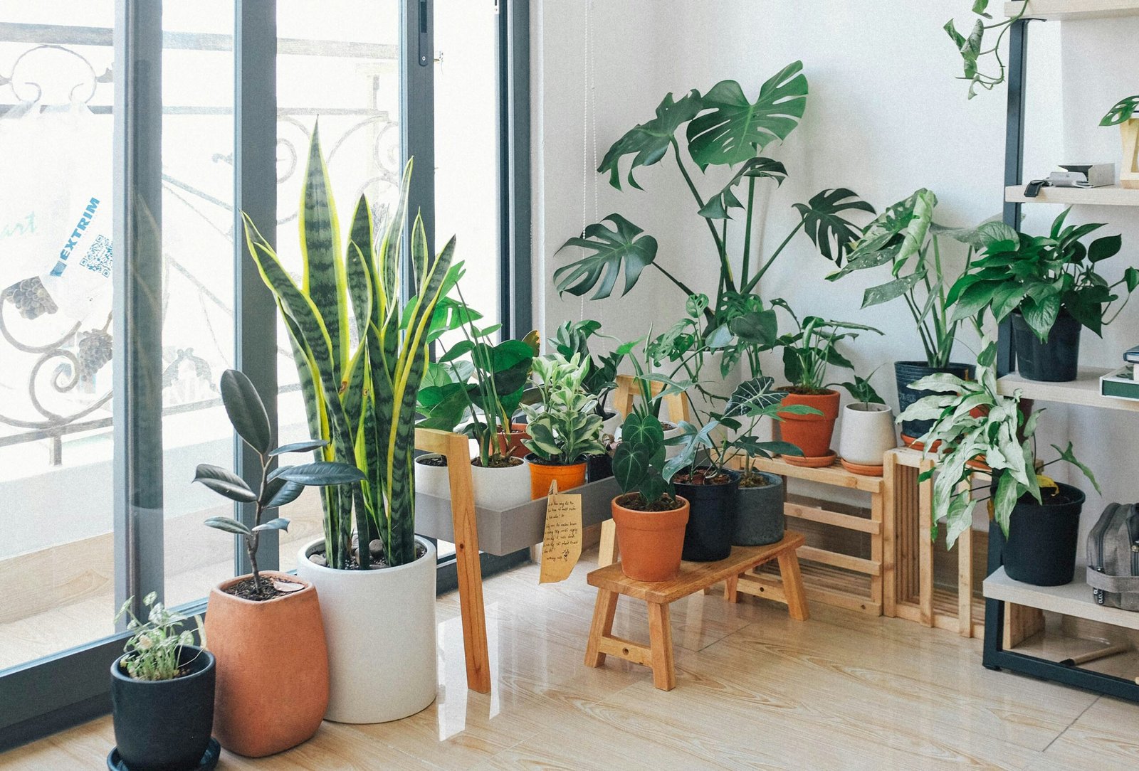Jardim de inverno para sala com vasos de plantas ,simples e funcional.