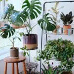 Um Jardim de Inverno para Sala