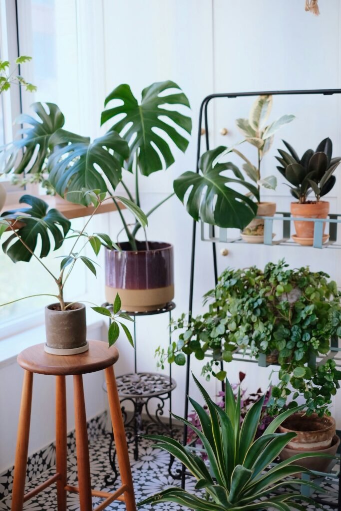 Um Jardim de Inverno para Sala