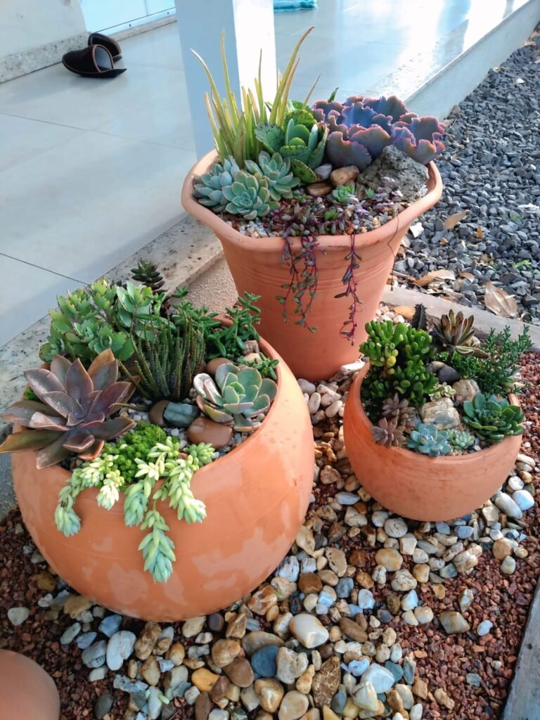 Jardim para quintal pequeno com trio de vasos de ceramica com suculentas.