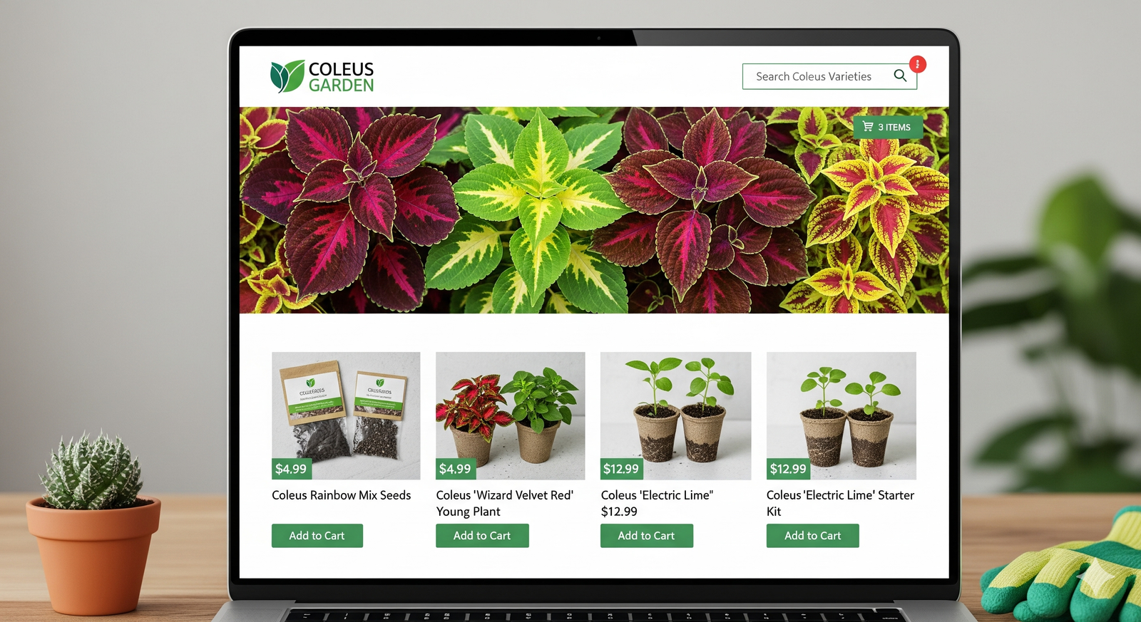 Loja online vendendo sementes de Coleus.