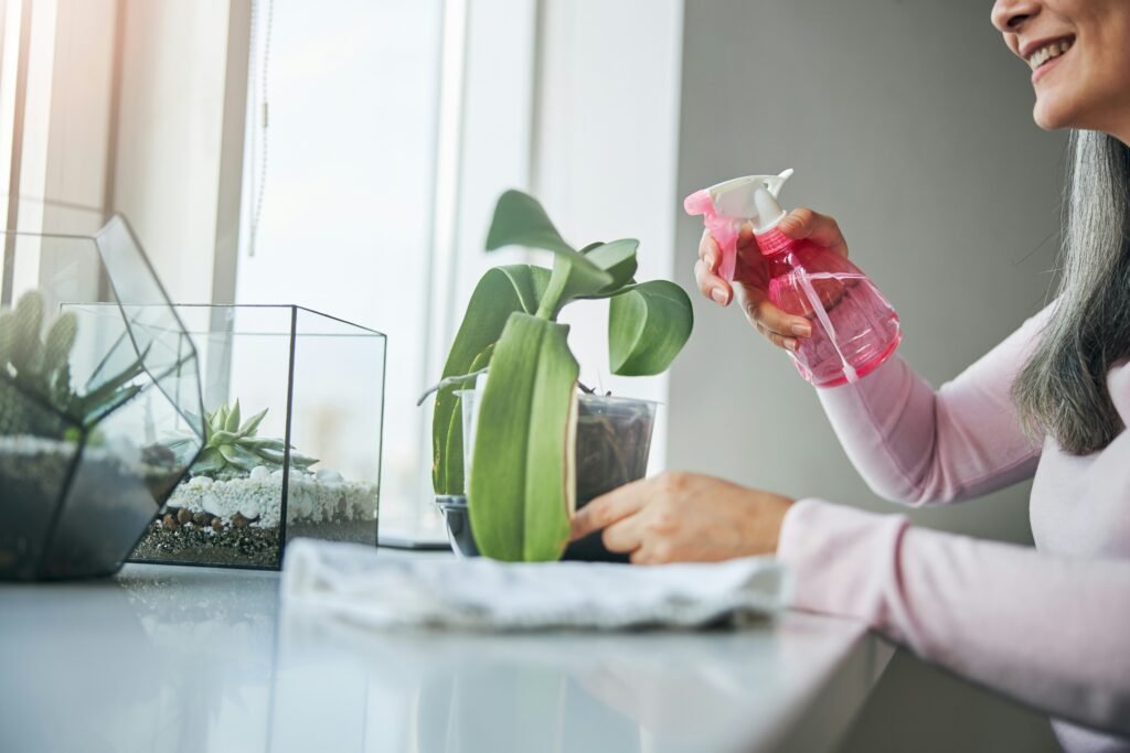 Mulher borrifando água em orquídea em vaso transparente, mostrando técnica correta de rega e manutenção em ambiente interno iluminado.