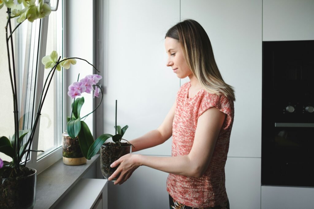 Mulher cuidando de orquídea em vaso transparente próximo à janela, verificando a saúde da planta e prevenindo problemas comuns.
