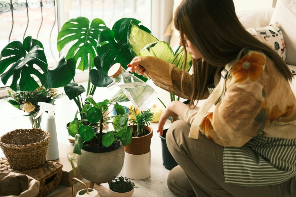 Mulher regando plantas de interior em vasos de diferentes tamanhos perto de uma janela iluminada.
