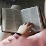 O que a Biblia fala sobre Lirio da Paz