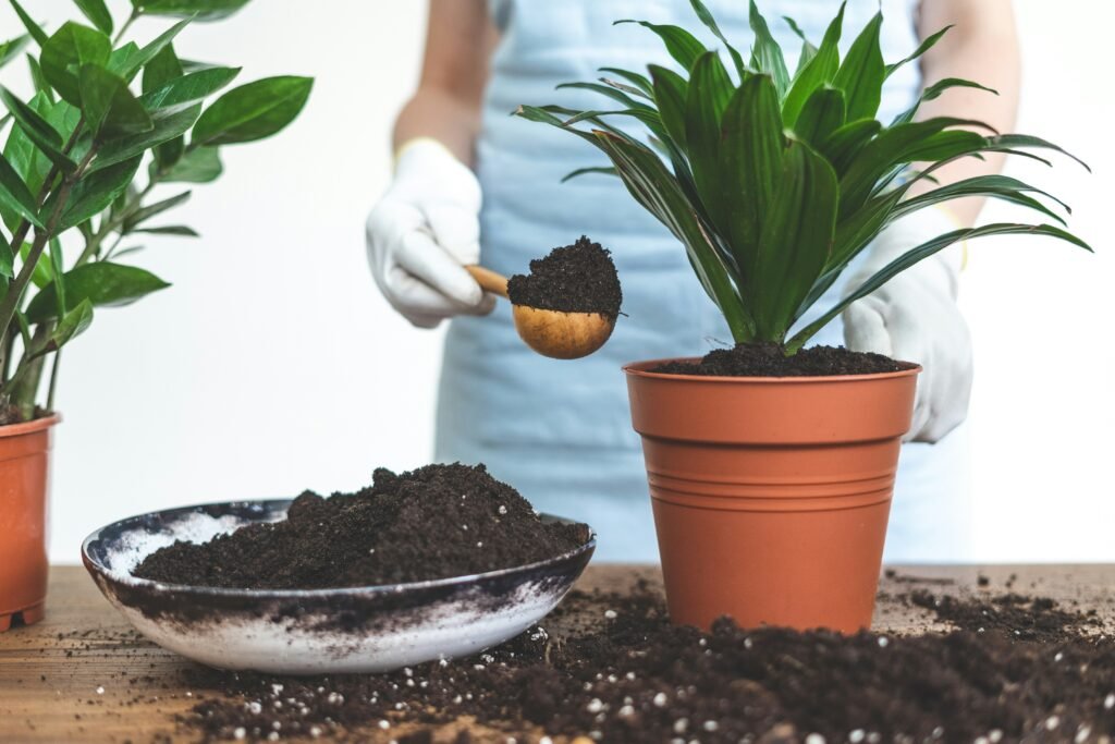 Pessoa com luvas de jardinagem colocando terra em vaso com planta verde de interior.Guia Completo das Plantas