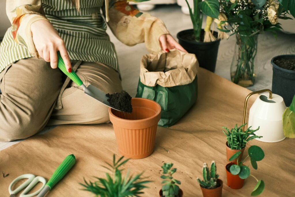 Pessoa preparando vaso com terra para plantar cactos, cercada por ferramentas de jardinagem e pequenas plantas.