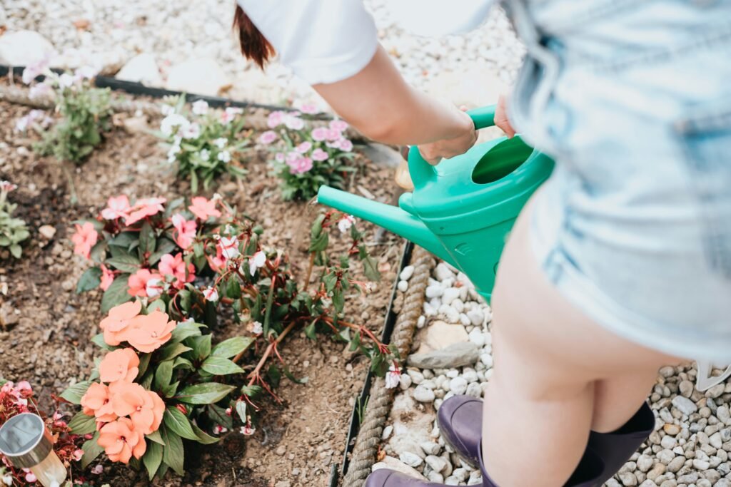 Pessoa regando flores no jardim, algumas murchas pelo calor do verão e solo seco.