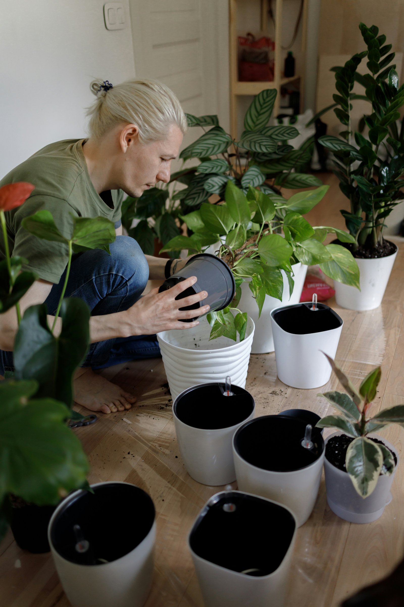 Pessoa cuidando de plantas de interior, transplantando mudas para vasos brancos, cercada por diferentes espécies de folhagens, em ambiente interno.