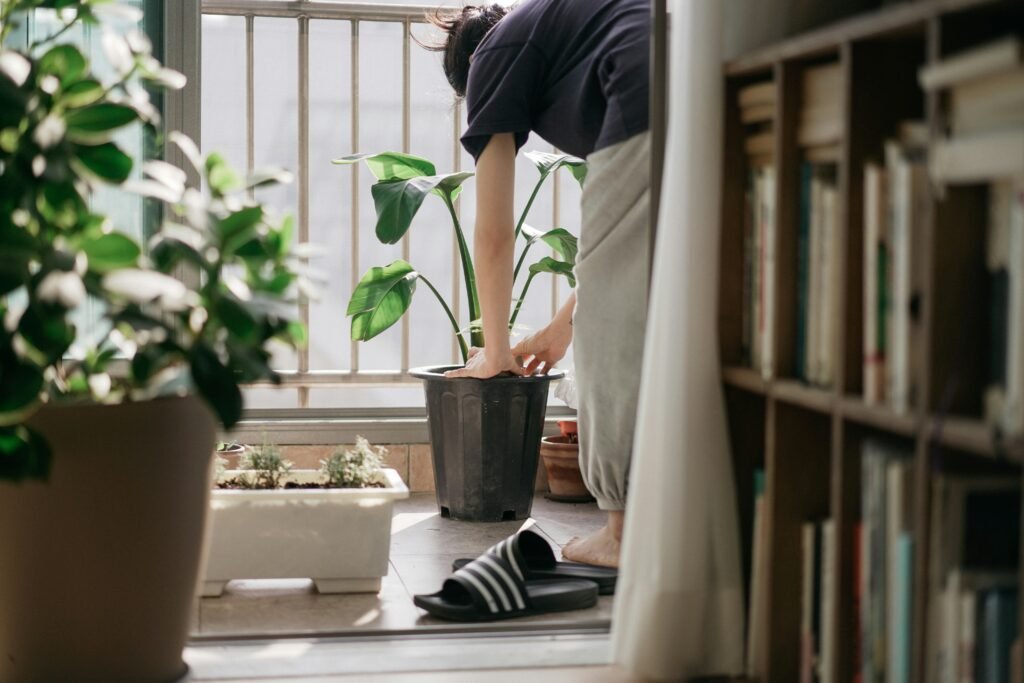 jovem plantando Lirio da Paz