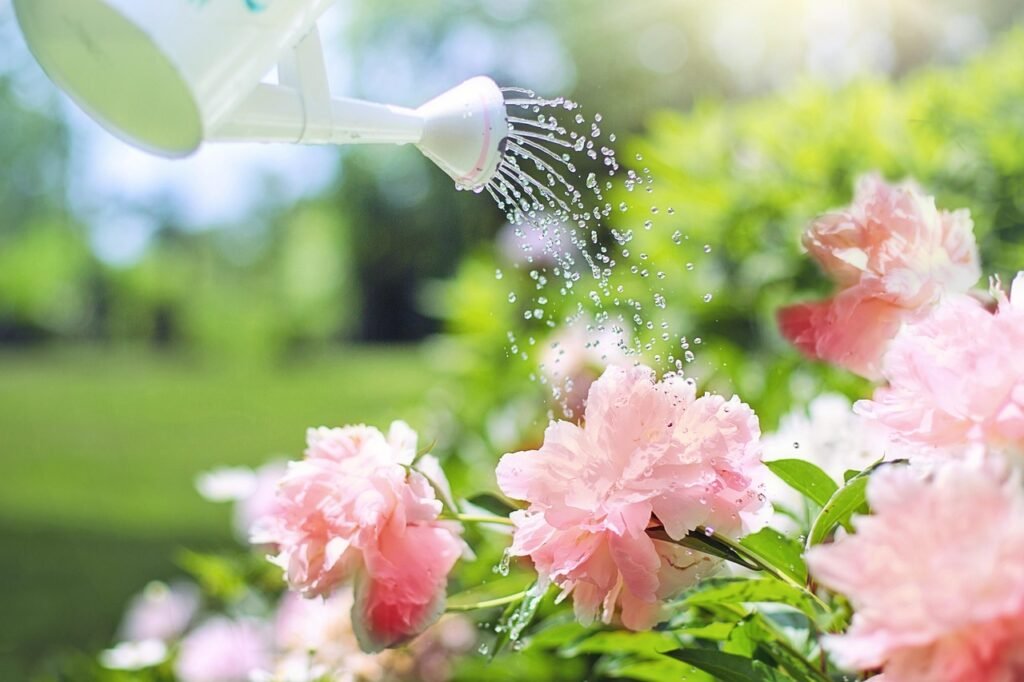 Transplantar Plantas de Vaso sem Estressá-la