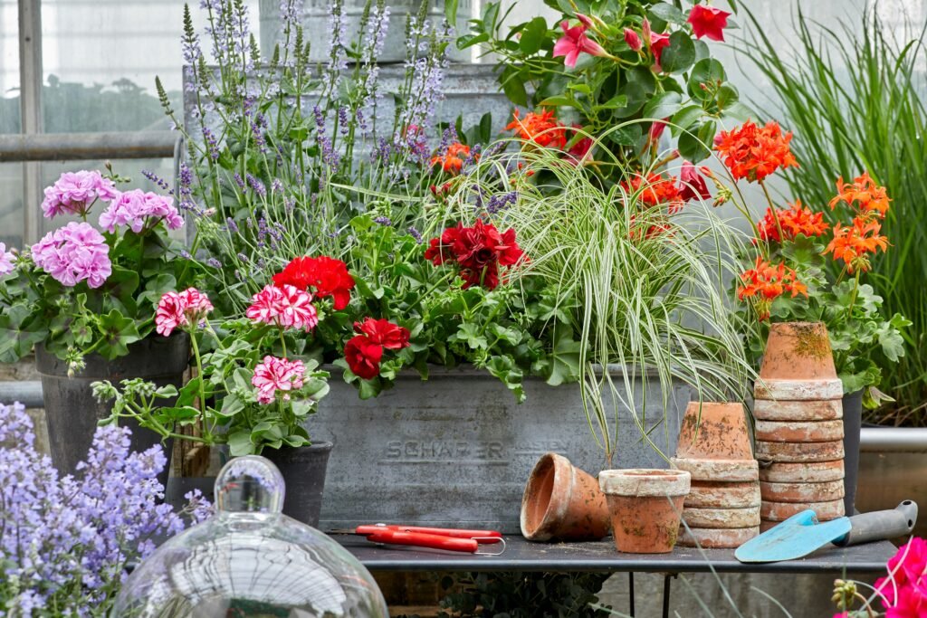 Vasos com flores coloridas, como gerânios e lavanda, ao lado de ferramentas de jardinagem e pequenos vasos de barro empilhados.
