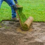 Como plantar grama