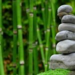 Jardim Zen