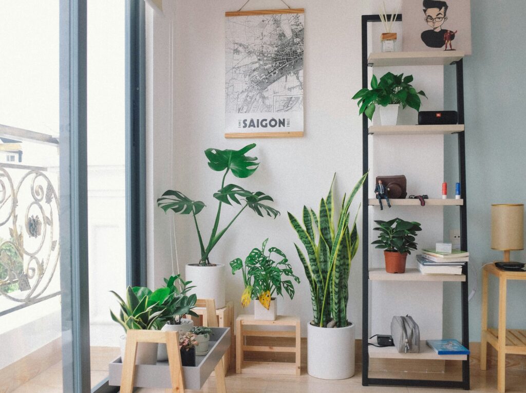 Ambiente interno iluminado com várias plantas decorativas, incluindo uma Espada de São Jorge em vaso branco, ao lado de outras espécies como monstera e suculentas, próximo a uma estante e porta de vidro.