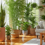 Plantas que Purificam o Ar