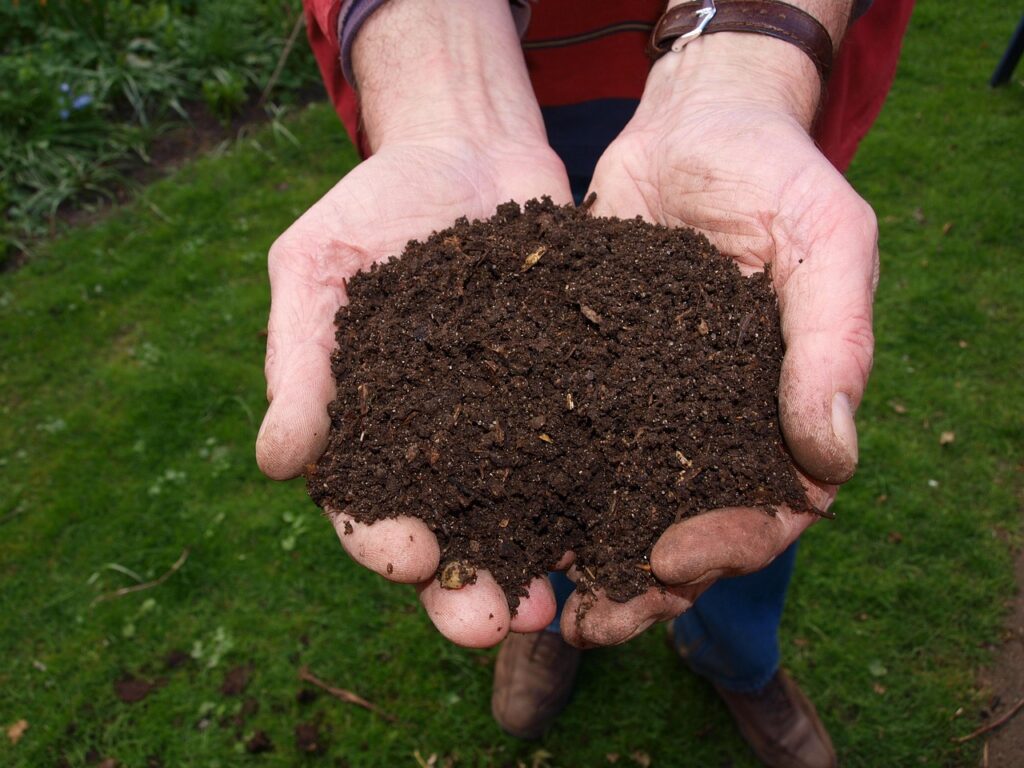 Miniatura clicável que leva para o artigo 7 Dicas Práticas de Adubo Caseiro para Plantas, mostrando mãos segurando adubo orgânico.