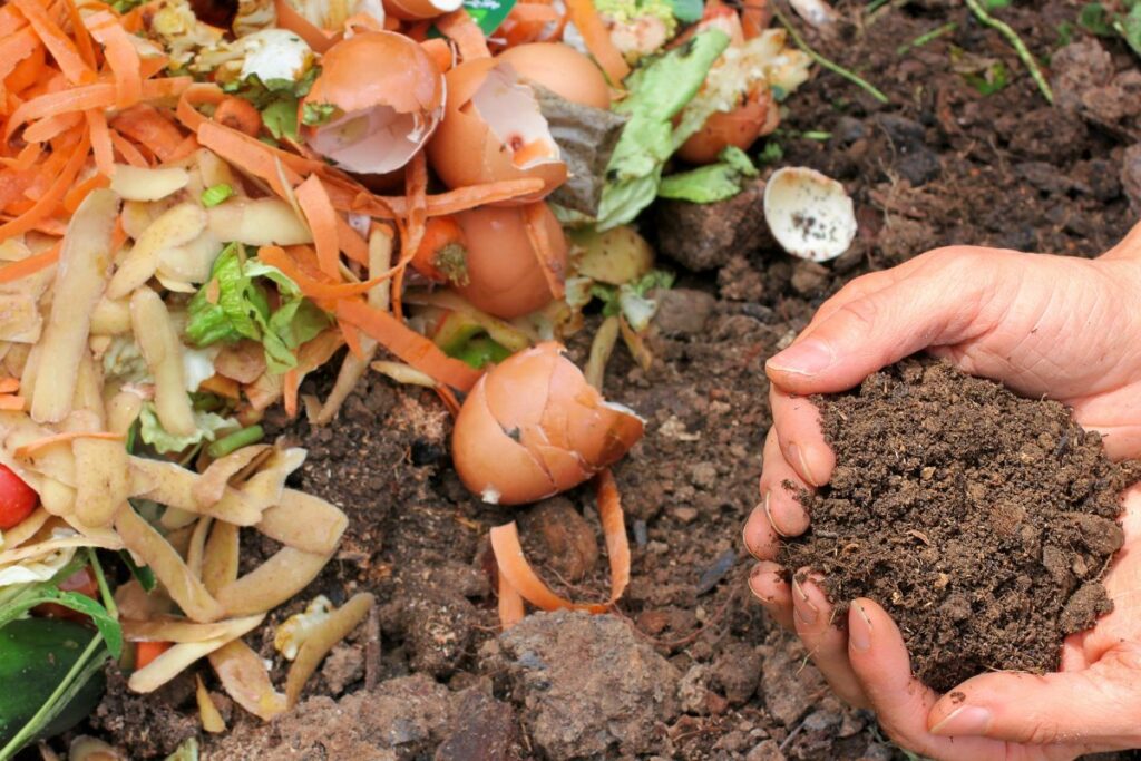 Mãos segurando adubo orgânico ao lado de restos de alimentos usados na compostagem para nutrir as plantas.