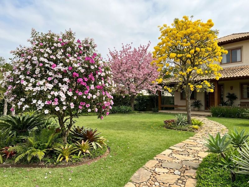 Árvores ornamentais em jardim residencial com floração colorida e paisagismo bem planejado