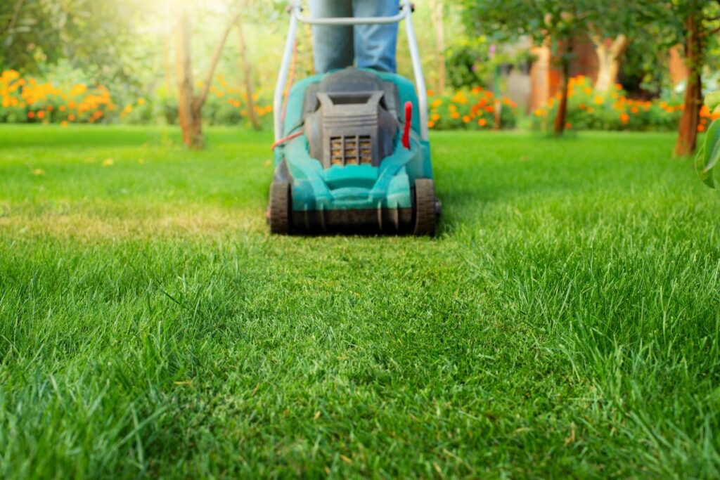 cortador de grama sendo usado em um jardim bem cuidado