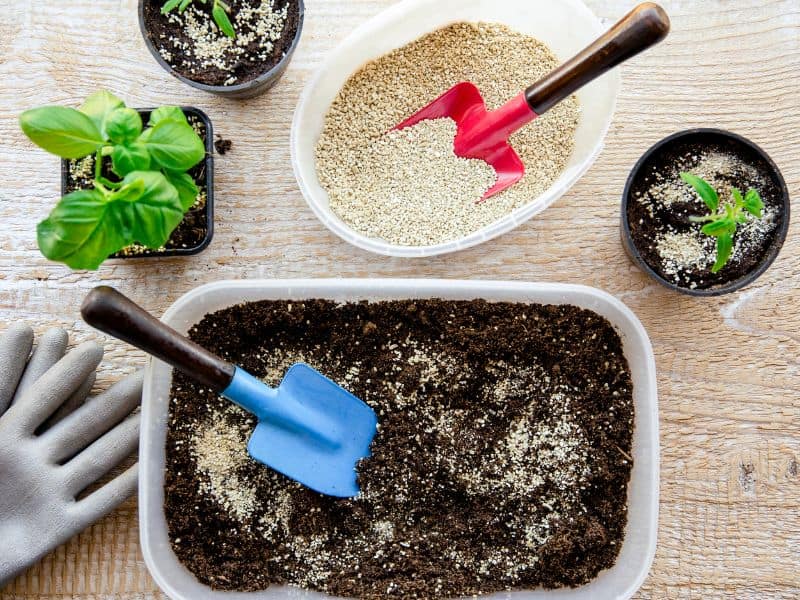 Como cuidar de plantas preparando substrato leve e adicionando nutrientes para fortalecer as raízes
