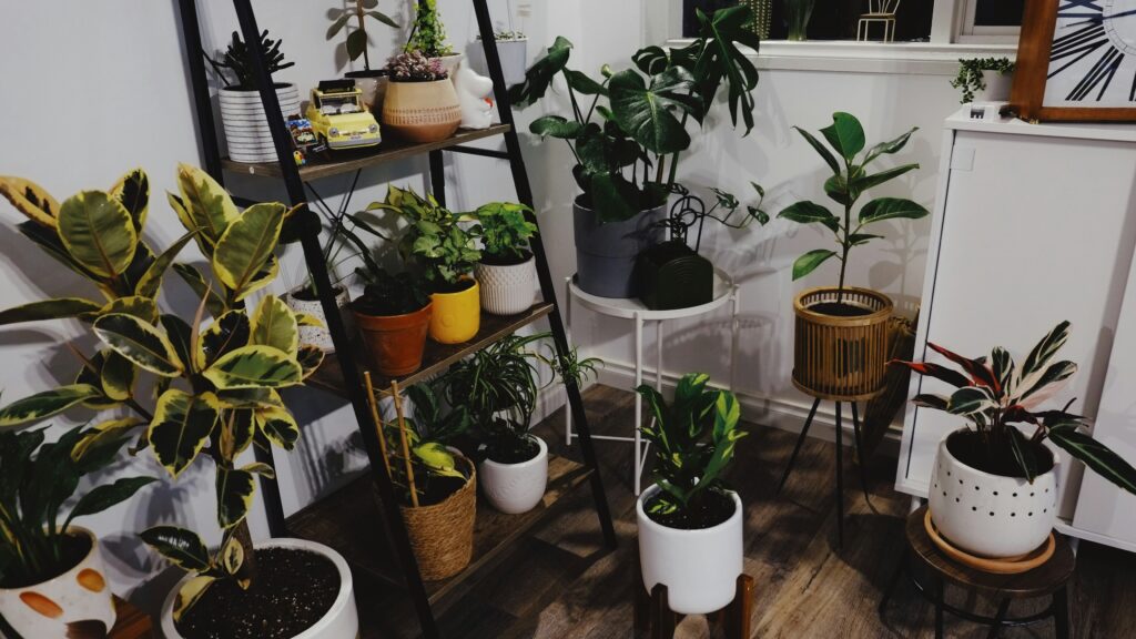 Plantas de interior em diferentes vasos decorativos usadas na decoração de uma sala aconchegante.