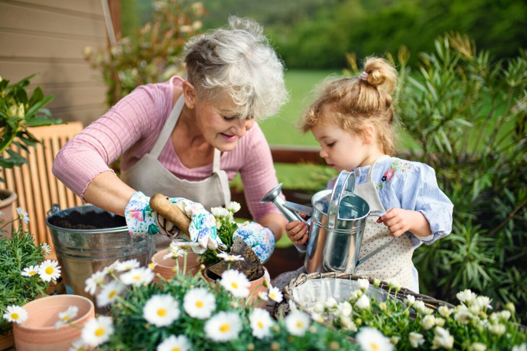 Avó e neta cuidando juntas de flores no jardim, regando e plantando margaridas