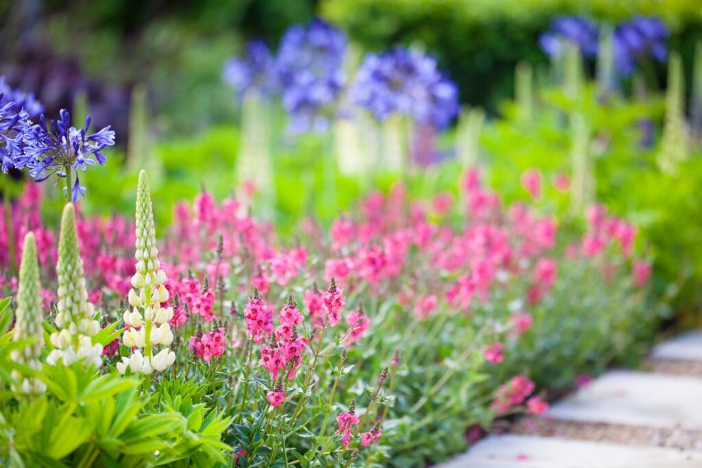 Jardim com flores coloridas mostrando variedade de espécies e organização.