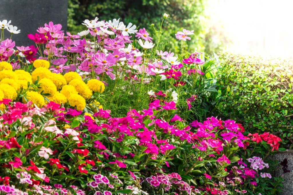jardim colorido com flores variadas em tons vibrantes, incluindo amarelo, rosa e branco, criando um ambiente cheio de vida e harmonia