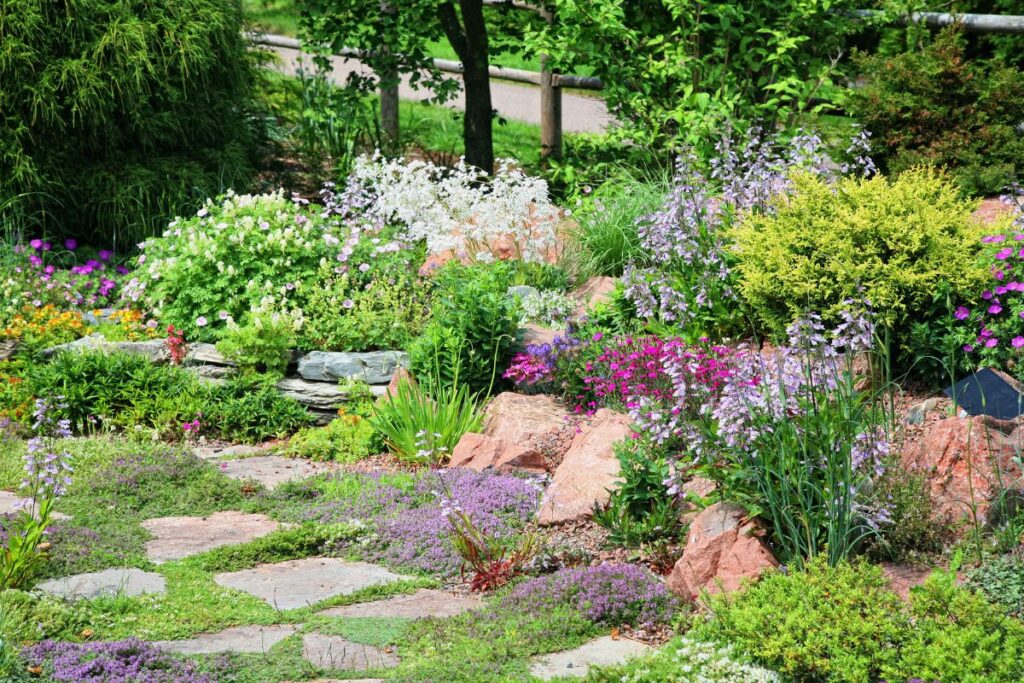 Jardim bem planejado com pedras decorativas e flores coloridas em diferentes alturas, criando um espaço verde harmonioso e acolhedor