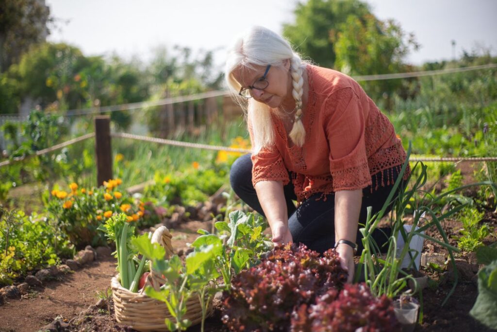 Mulher cuidando de uma horta caseira variada, colhendo verduras frescas diretamente da terra.