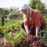 Mulher cuidando de uma horta caseira variada, colhendo verduras frescas diretamente da terra.