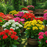Jardim exuberante com Kalanchoe e Calandiva em cores vibrantes como vermelho, rosa, amarelo e branco, em vasos decorativos sob luz natural.